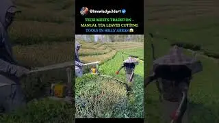 TECH MEETS TRADITION - MANUAL TEA LEAVES CUTTING TOOLS IN HILLY AREAS 😱#shorts