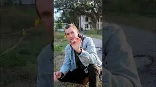 Растение, произрастающее в Техасе, которое вы упускаете из виду: эвкалипт бумелия.