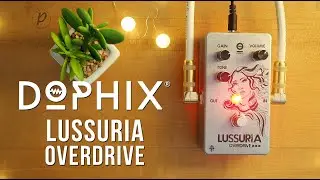Dophix Lussuria Overdrive