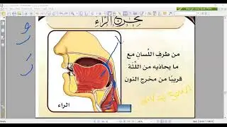 Explanation of Harf Raa (ر) &ndash; Part 1 | Makharij & Sifaat | (شرح مخرج الراء الجزء الاول)