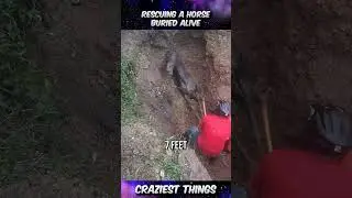 Rescuing a Horse Buried Alive | Craziest Things Part 526