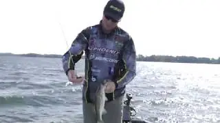 Fishing Offshore With The Paca Chunk