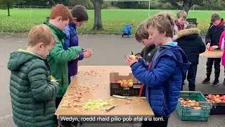 Syniadau Mawr Cymru   Y Criw Mentrus   Cwmni Cynnyrch Cernyw   Bro Cernyw