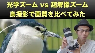 【鳥で実験！】全画素超解像ズームと光学ズームの画質のちがい【SONY FE100-400mm F4.5-5.6 GM OSS/レンズレビュー】