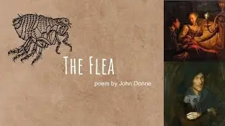 Flea Poem by John Donne (summary in Tamil)