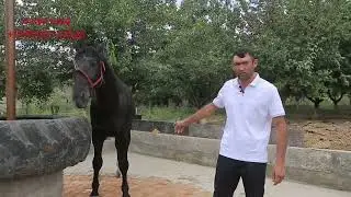Istaravshan Hoji Momin Umed Akalarni Otxonasiga Sayoxat