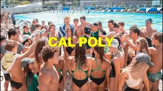 Cal Poly Swimming and Diving Suddenly Cut - Episode 234
