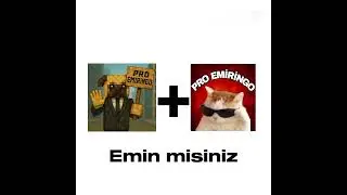 en iyi ikili pro emiringo