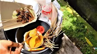 Chicken Satay (Sate) | Indonesian Street Food