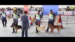 PETEX INDIA 2018 | PET DIET FIX