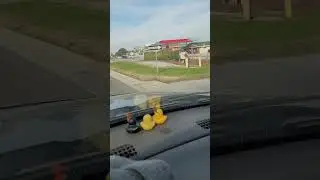 Солнышко на пляже Оушен-Айл ⛱️ ✨️ 💛
