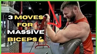 3 Killer Bicep Exercises for Maximum Growth 💪 | Straight Bar, Preacher & Hammer Curls #biceps #arms