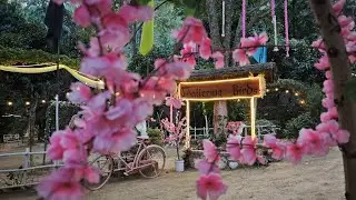 Chattering birds (Beauty of Nature).#Manipur Tourism#Naturelover#Chatteringbirds#picnicspotManipur
