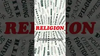 First Amendment & More: A Quick Guide 2024