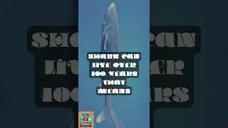 The Oldest Living Creature on Earth!