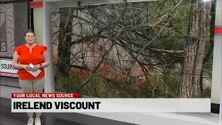 How to prevent wildfires