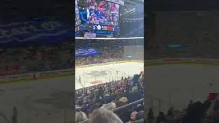 Go Leafs Go!