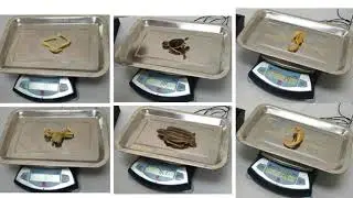 Wet specimen preparation