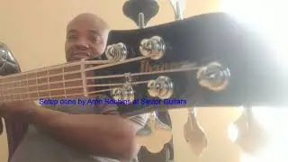 ***Budget Bass Series***-Ibanez TMB 105 5-String Demo