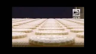 POLIN Industrial Rotary Moulding & Rotary Cutting Combi Line - ProBAKE Bakery Equipment