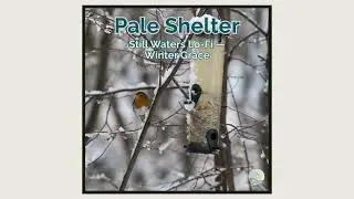 Pale Shelter &mdash; Still Waters Lo-Fi &mdash; Winter Grace