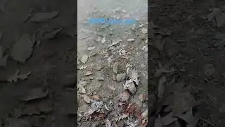water well drilling that I've done