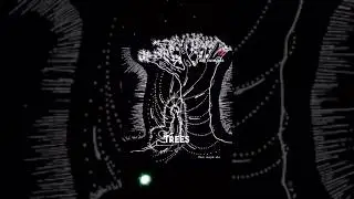 Electromagnetic Energy in Trees #3kingpro2call #nature #energy #tree #consciousness