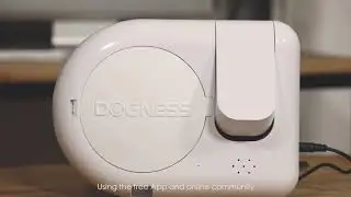 DOGNESS Mini Robot