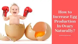 Increase Egg Production And Improve Egg Quality in Women | How To Improve Ovarian Reserve Naturally?