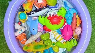 Ocean Animals with TOYS! Fun Sea Creature Facts for Kid | Learn Sea Animals Through Play
