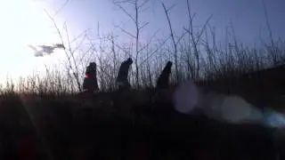 BASICseries Trailer