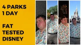 Visiting All Four Disney World Parks in One Day as a Plus Size Rider