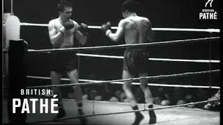 Boxing - Sneyers Wins Again (1954)