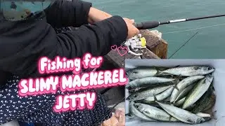 Fishing for SLIMY MACKEREL JETTY 