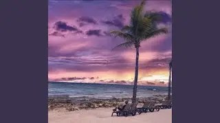 Mexicano Trap (Original Mix)