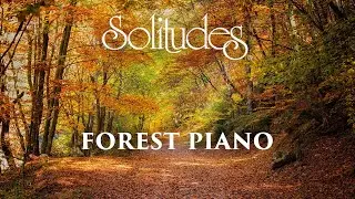 Dan Gibson&rsquo;s Solitudes - Beauty Abounds | Forest Piano