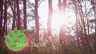 Save Trees 🕊️ | Green Movement