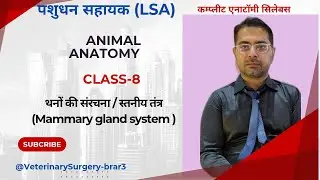 Animal anatomy class - 8 #veterinary anatomy #pashudhansahayak #lsa #lsi #lsacoaching #teat #mammary