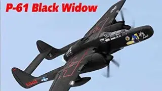 Dynam P-61 Black Widow Grass Ops