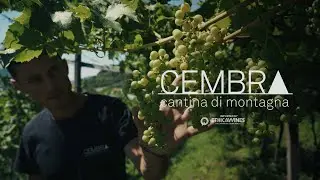 Cembra & Ethica Wines: Vini Eroici dal Trentino DOC