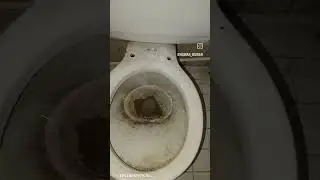 Caustic Soda (Lye) Versus Toilet Bowl