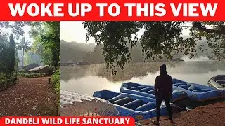 THE BISON RIVER RESORT - DANDELI