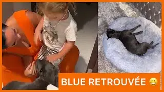 BONNE NOUVELLE ! BLUE A ÉTÉ RETROUVÉE !