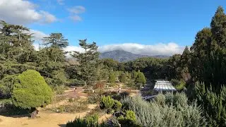Kyoto Botanical Gardens Japan 2025 Dec 20
