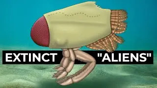 Extinct 