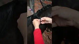 How To Plait A Horse