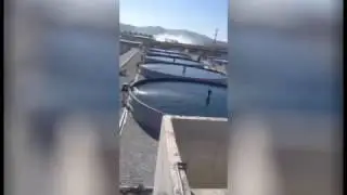 Akuak&uuml;lt&uuml;r &Ccedil;iftliği Polyester Tank Uygulama Sonrası