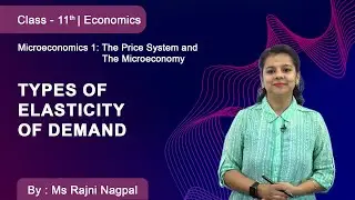 Class 11 | Economics | Microeconomics 1 | Types of Elasticity of Demand