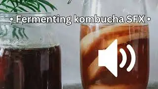 Fermenting kombucha bubbles SFX