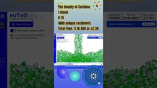 ADA Cardano Transaction #blockchain #crypto #money #bitcoin #memecoin #solana #tokens #coinbase #1k